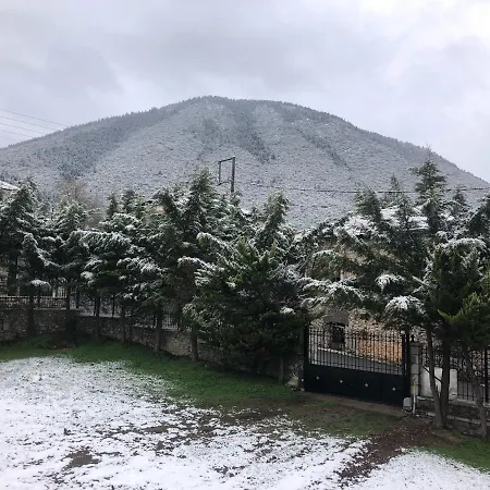 Апартаменты 