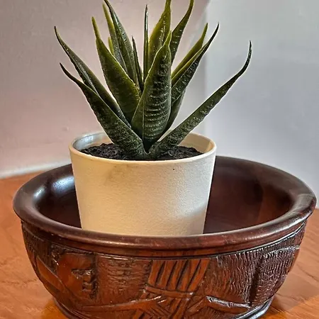 Апартаменты 