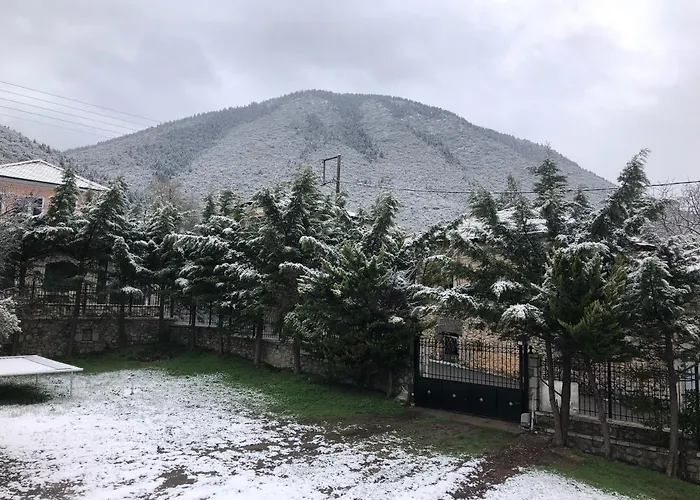 Апартаменты 